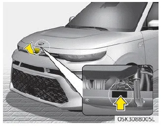 Kia Soul. Air conditioner compressor label. Refrigerant label